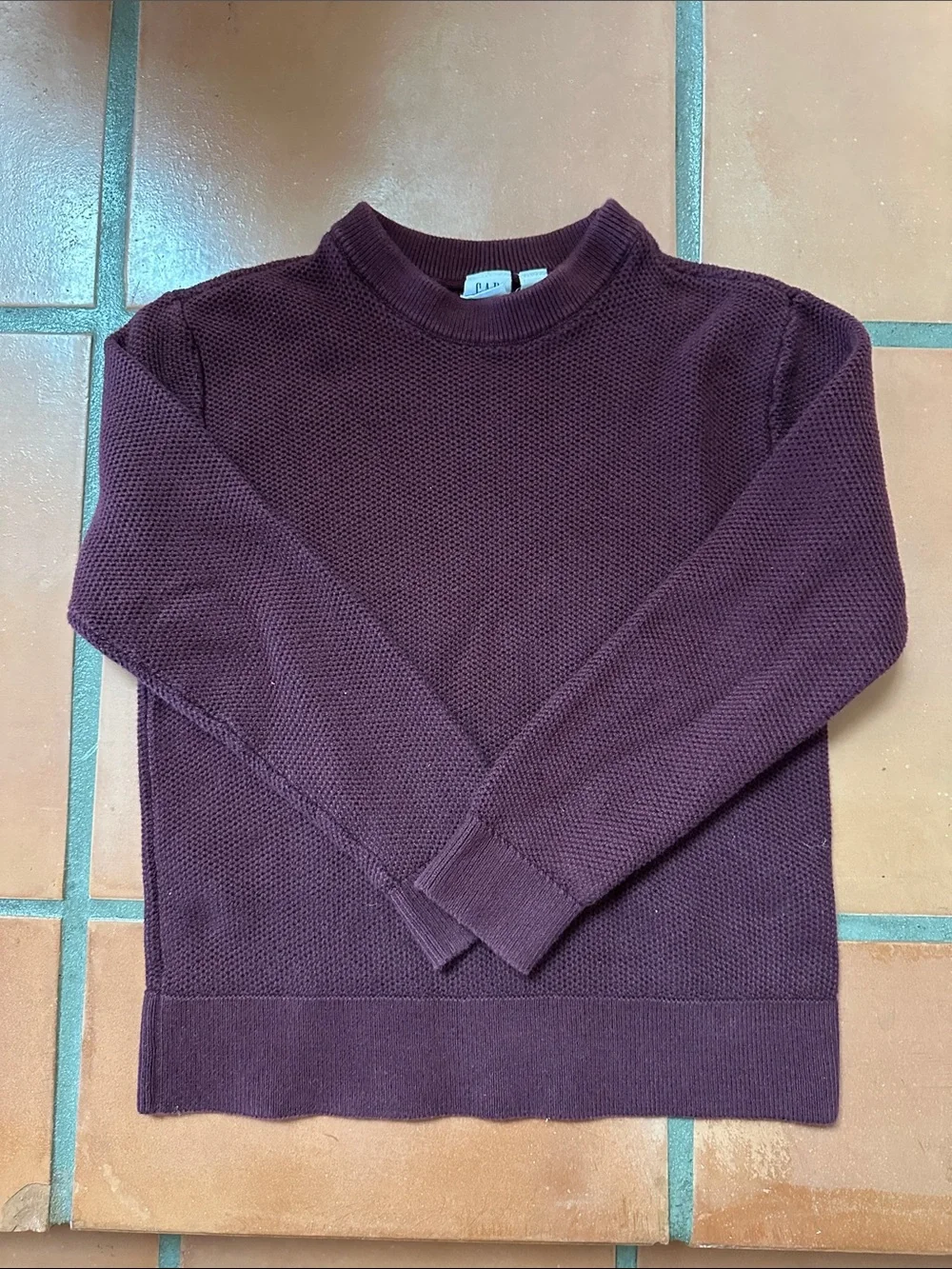 GAP Boys Burgundy Crewneck Knit Sweater